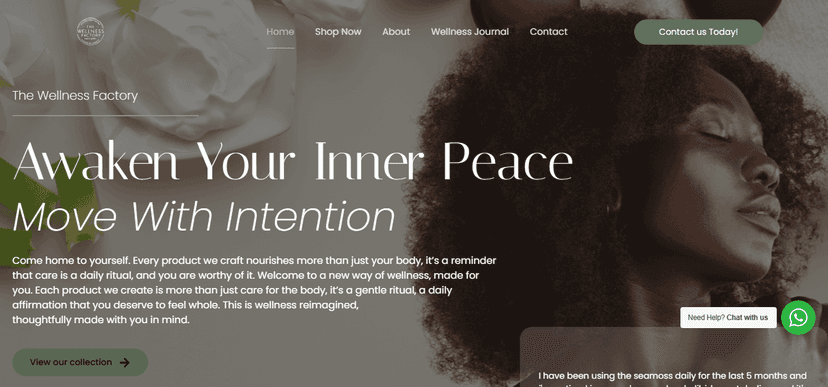 Wellness Project Wordpress screenshot